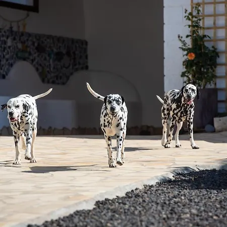 La Perla Apartmán Candelaria