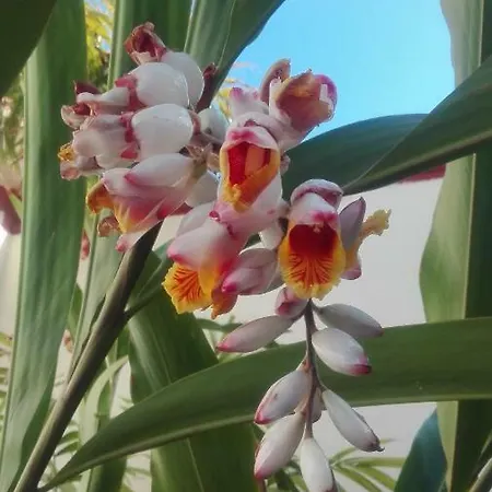 Apartmán La Perla Candelaria