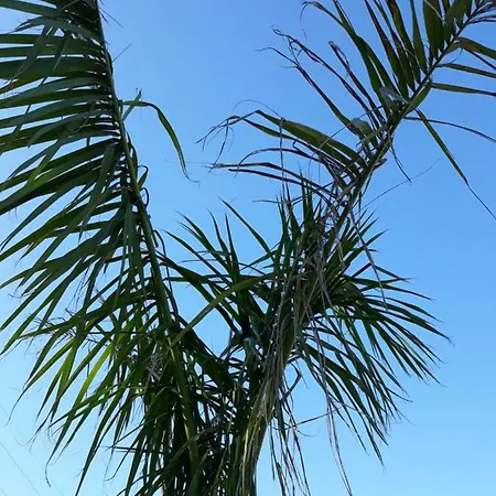 La Perla Apartmán Candelaria