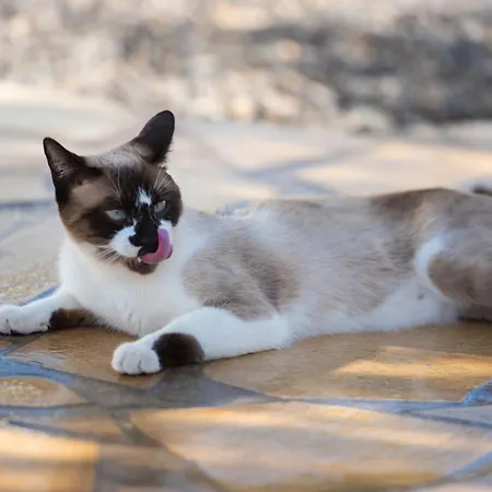 아파트 La Perla 칸델라리아