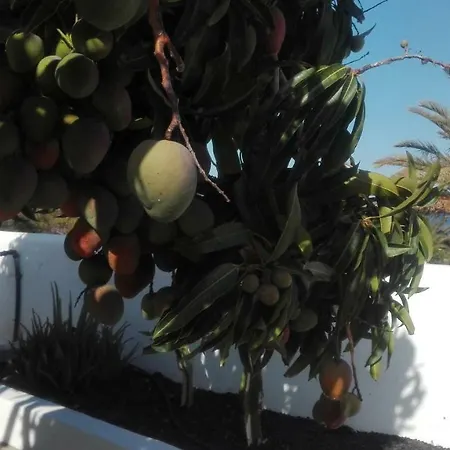 아파트 La Perla 칸델라리아