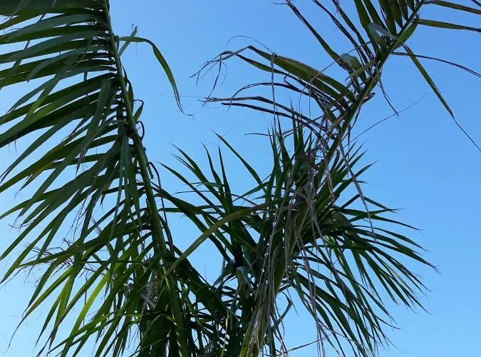 La Perla Апартаменты Канделария